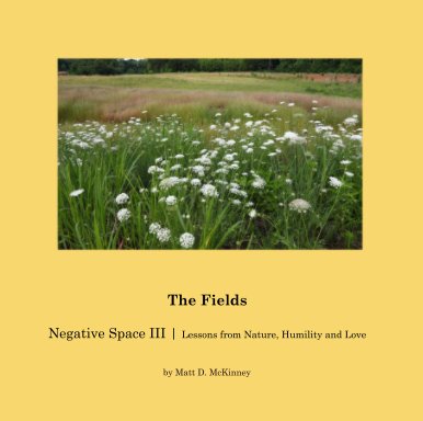 The Fields  Negative Space III | Lessons from Nature, Humility and Love book cover